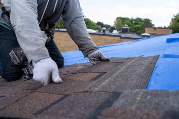 Best Metal Roofing Contractor  in Christiansburg, VA