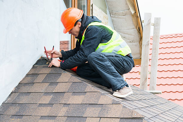 Best Roof Gutter Cleaning  in Christiansburg, VA